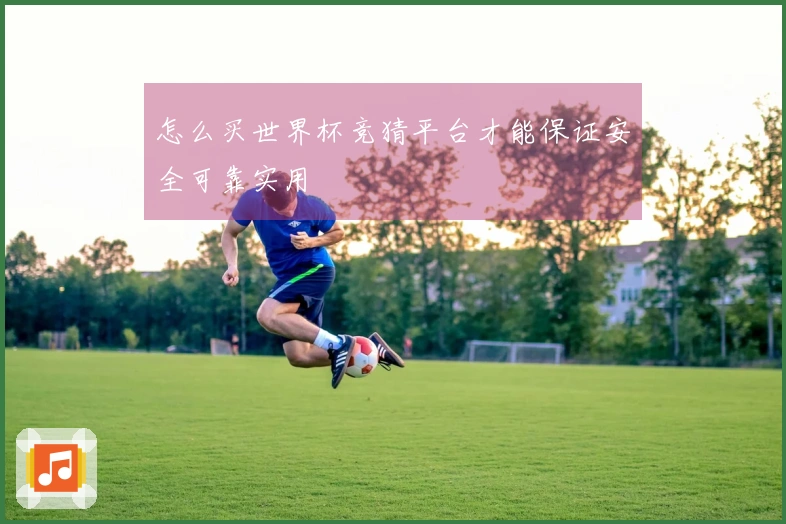 怎么买世界杯竞猜平台才能保证安全可靠实用