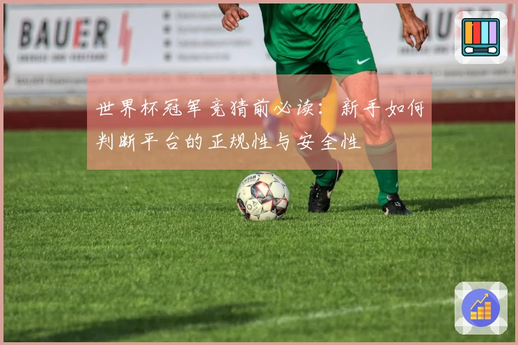 世界杯冠军竞猜前必读：新手如何判断平台的正规性与安全性