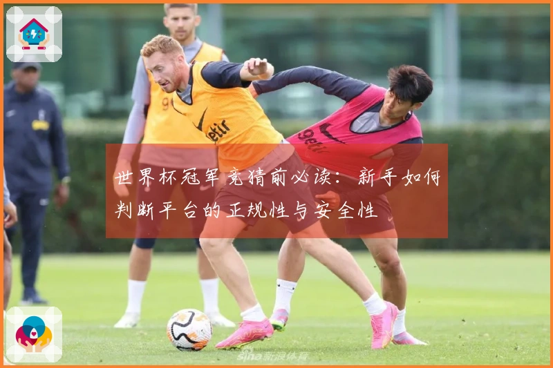 世界杯冠军竞猜前必读：新手如何判断平台的正规性与安全性