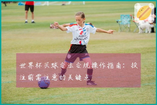 世界杯买球合法合规操作指南：投注前需注意的关键点