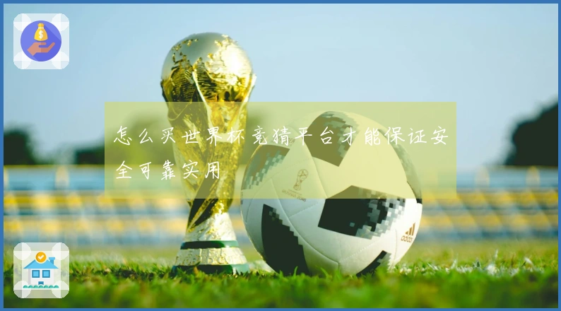 怎么买世界杯竞猜平台才能保证安全可靠实用