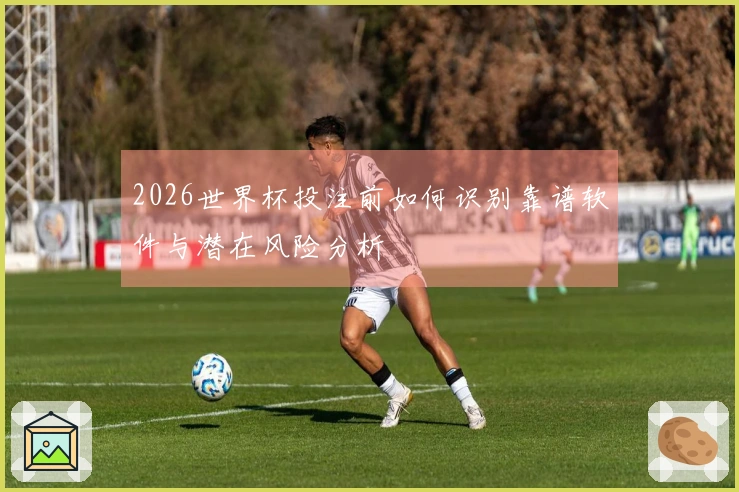 2026世界杯投注前如何识别靠谱软件与潜在风险分析