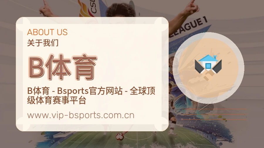 关于 B体育